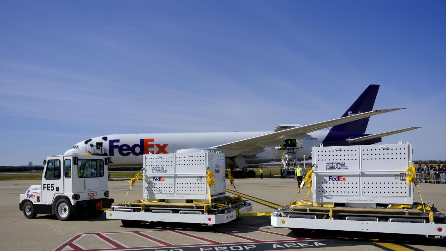 パンダ＊ Giant Pandas Leave US for China: An Unforgettable Journey | FedEx